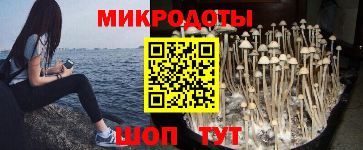 Полевской  Галлюциногенные грибы прущие грибы  Вход с VPN  Галлюциногенные грибы GOLDEN TEACHER 
